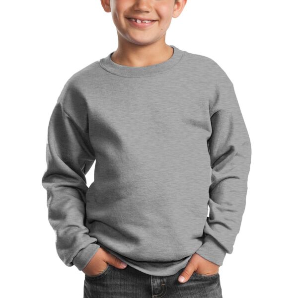 Youth Core Fleece Crewneck Sweatshirt (P) Thumbnail